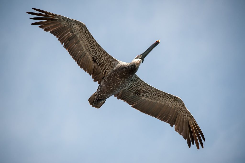 Parque Nacional Galápagos