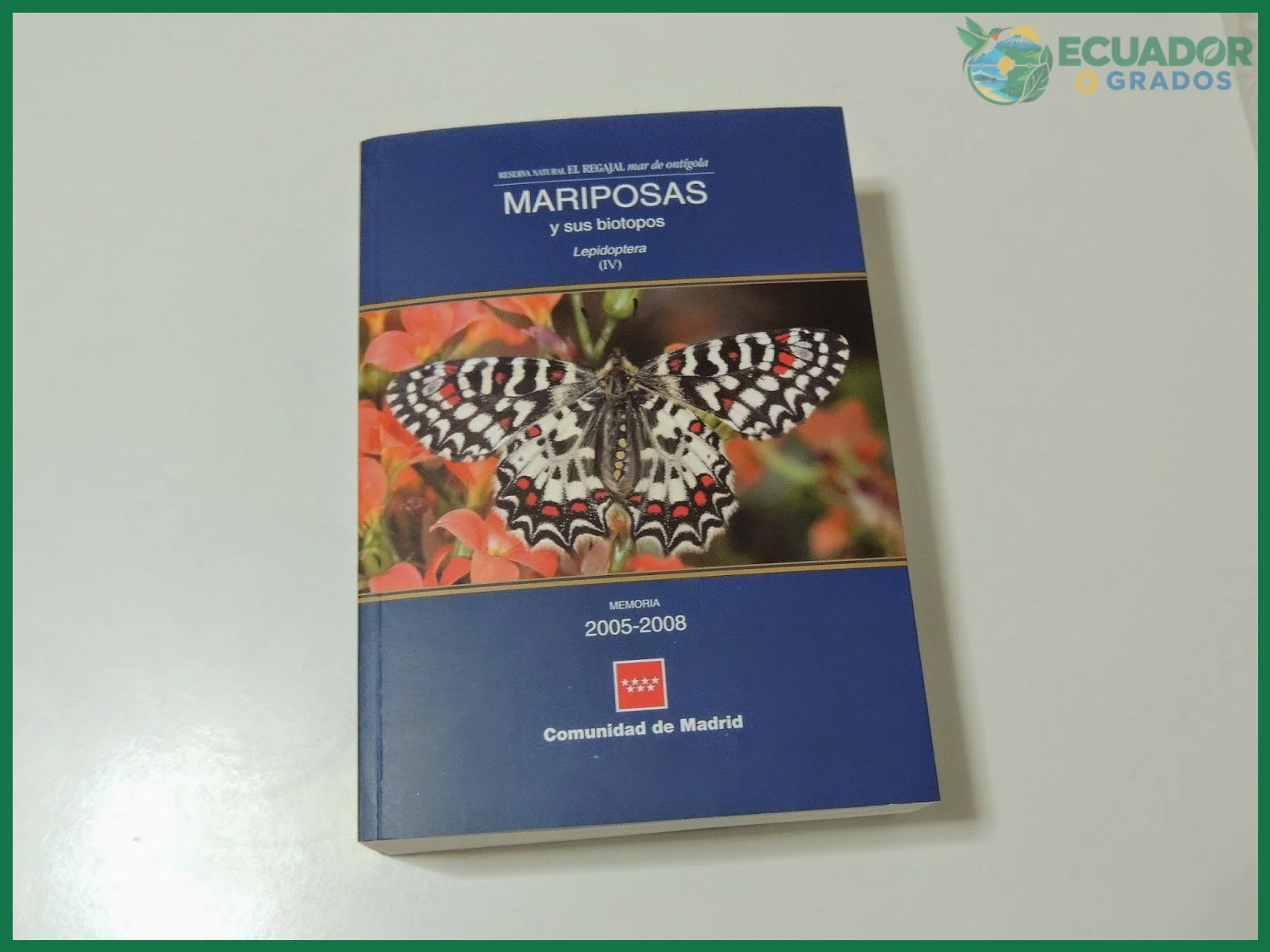 Aspectos prácticos para observar mariposas en Ecuador
