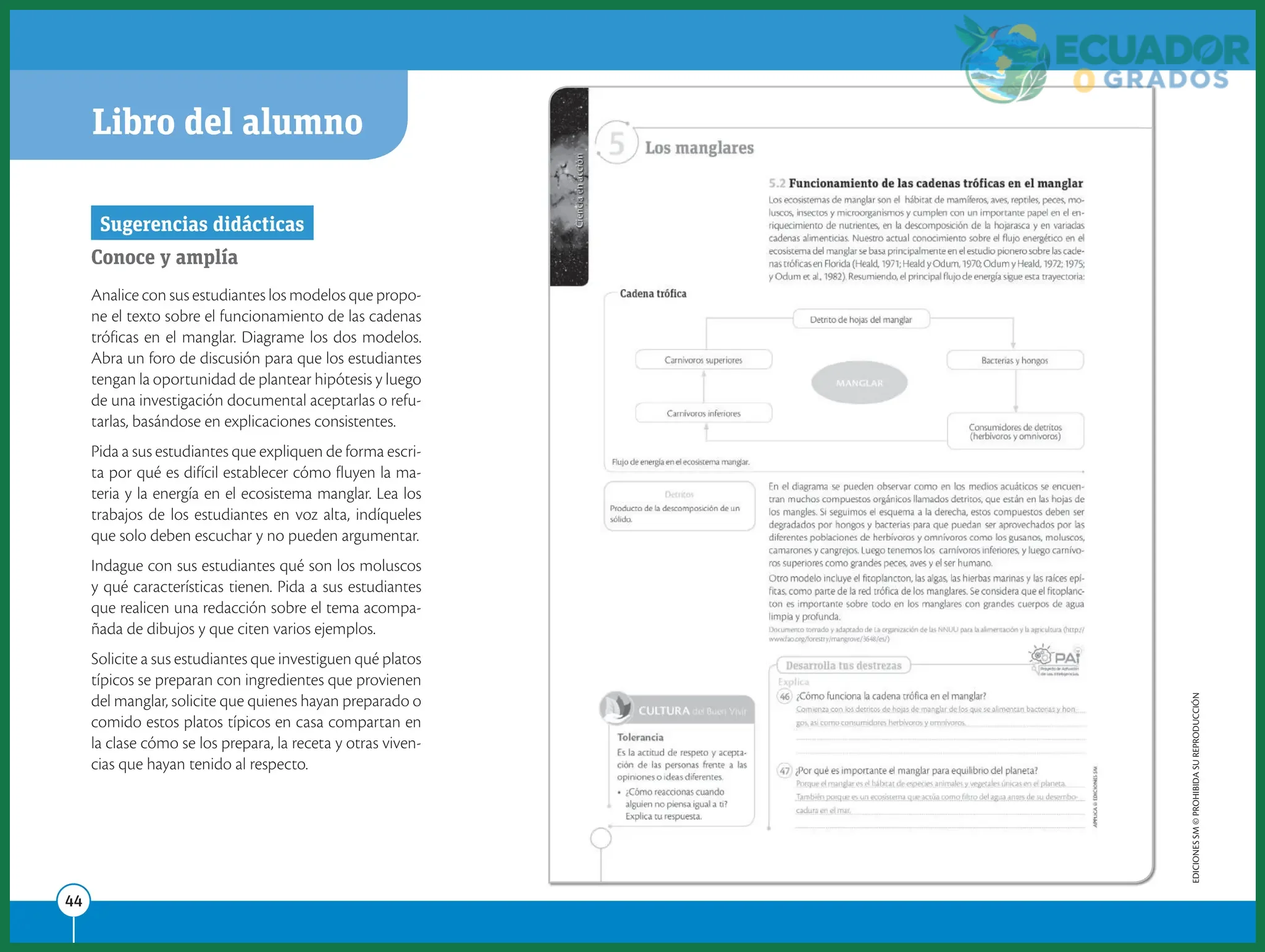 Aspectos prácticos para visitar los manglares de Ecuador