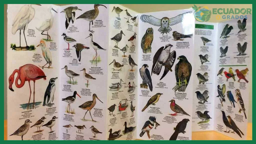 Aves endémicas de las Islas Galápagos