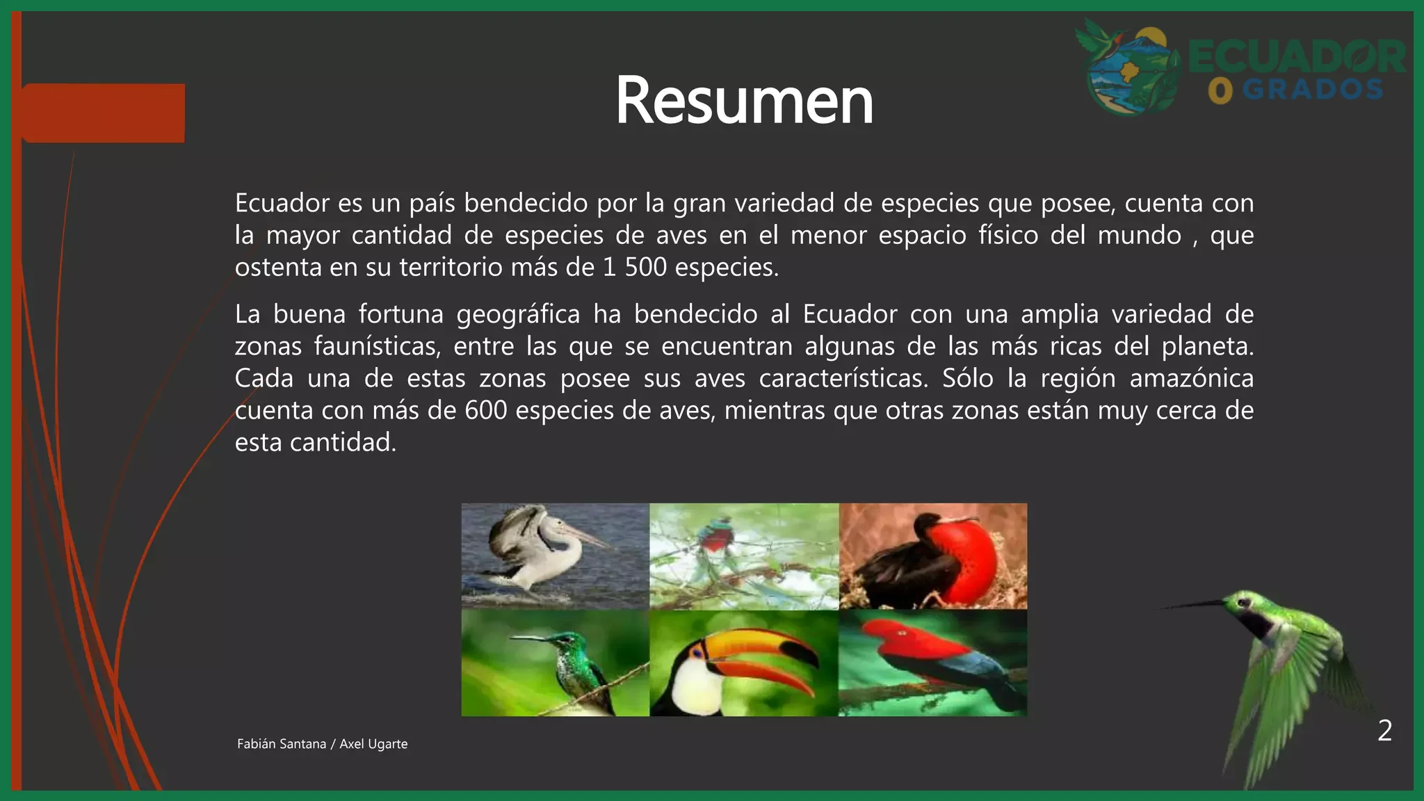 Aves endémicas del norte del Ecuador