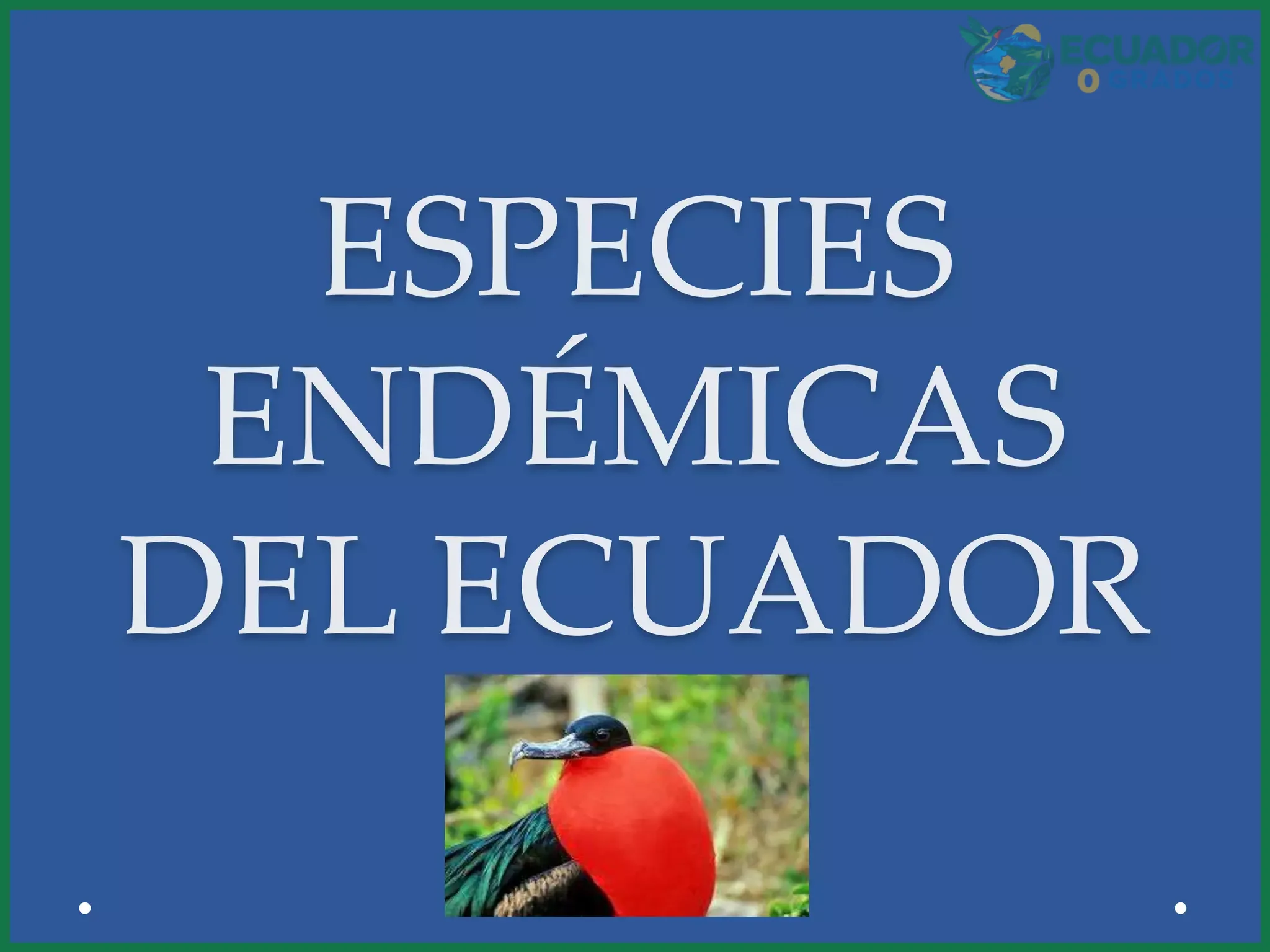 Aves nativas del Ecuador