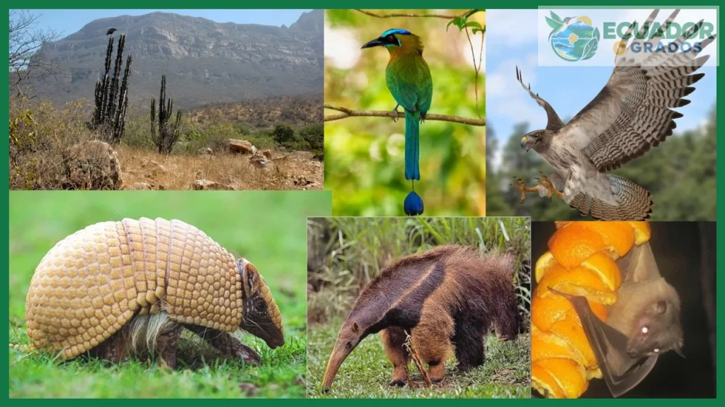 ¿Biodiversidad de Ecuador?
