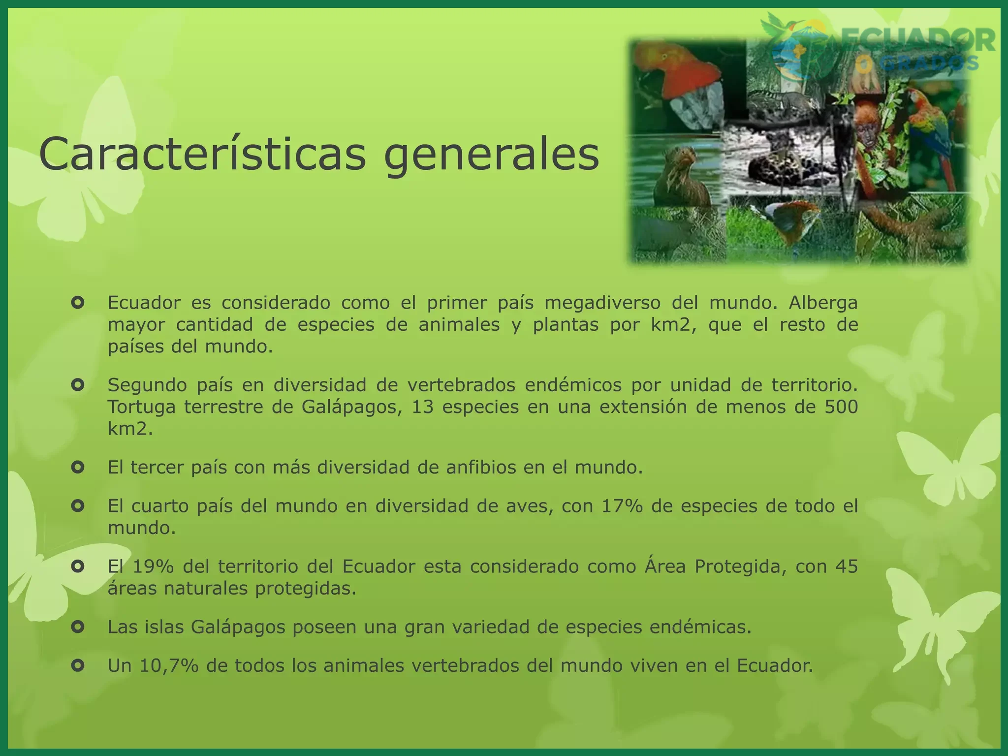 Características de las aves endémicas del Ecuador y su distribución exclusiva