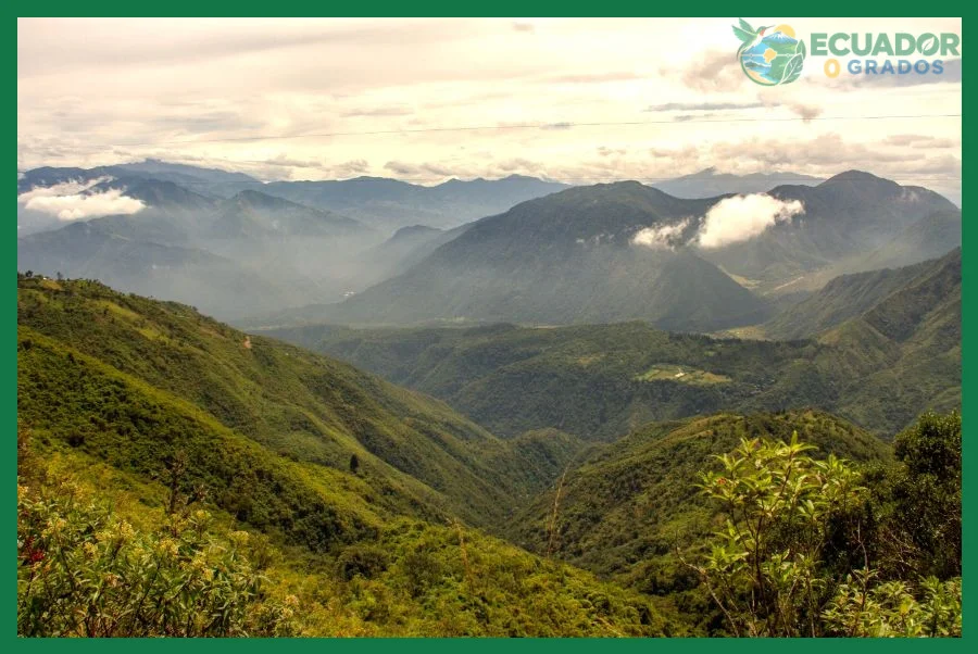 ¿Chocó Andino Uno de los mejores destinos para visitar en?
