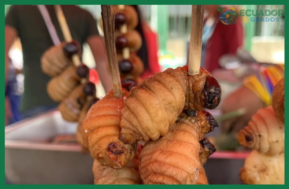 Chontacuro y otros insectos comestibles en la dieta amazónica