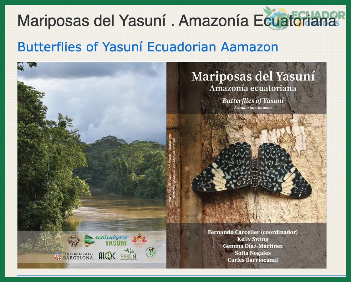 Ciclo de vida y comportamiento de las mariposas del Ecuador