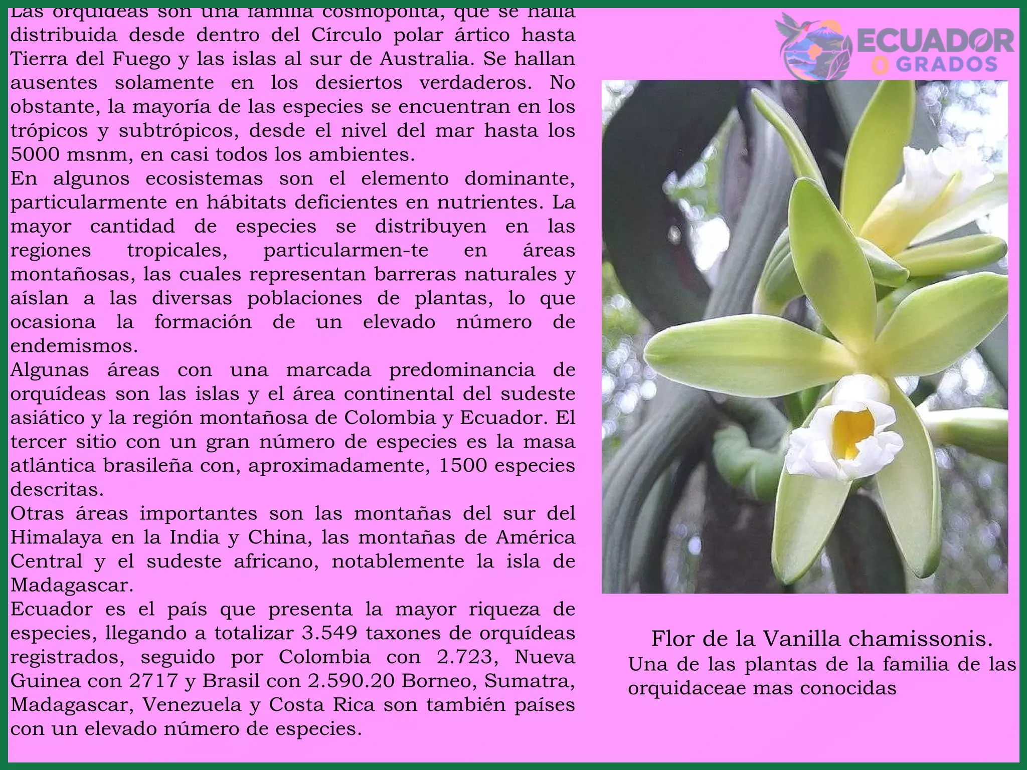 Clasificación de orquídeas según su hábitat y tipo de crecimiento