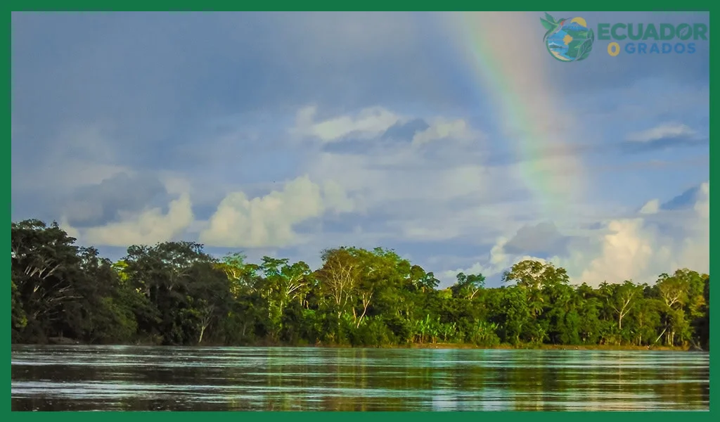 Cómo es el clima en la Amazonía de Ecuador durante el año