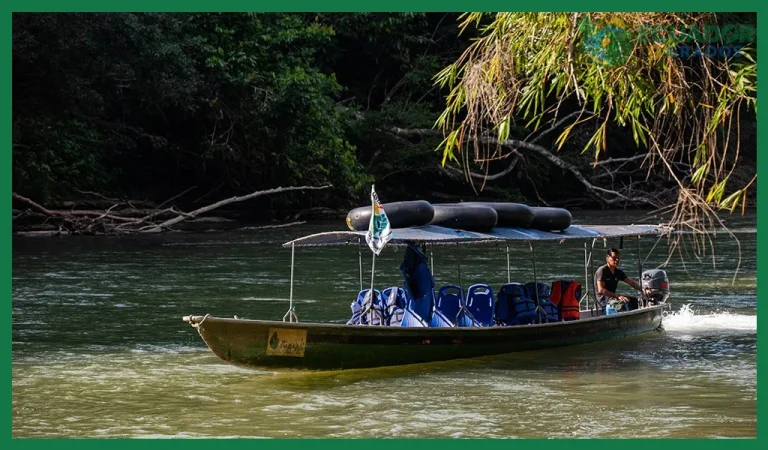 Cómo es un viaje en canoa por la Amazonía ecuatoriana