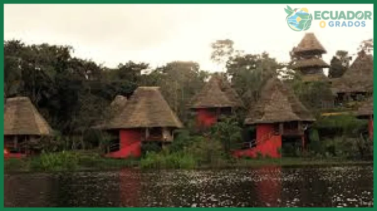 Cómo explorar el Parque Nacional Yasuní de forma responsable