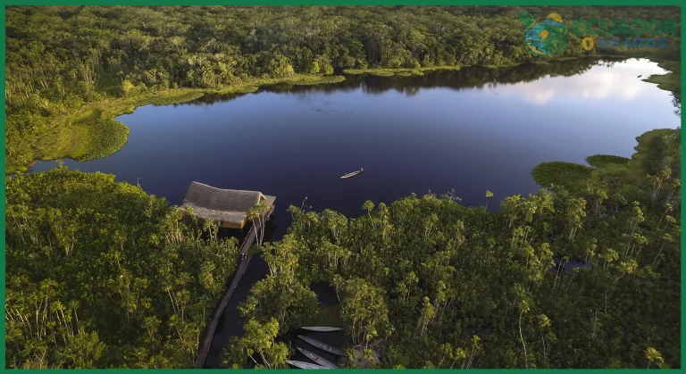 Cómo explorar la Amazonía ecuatoriana