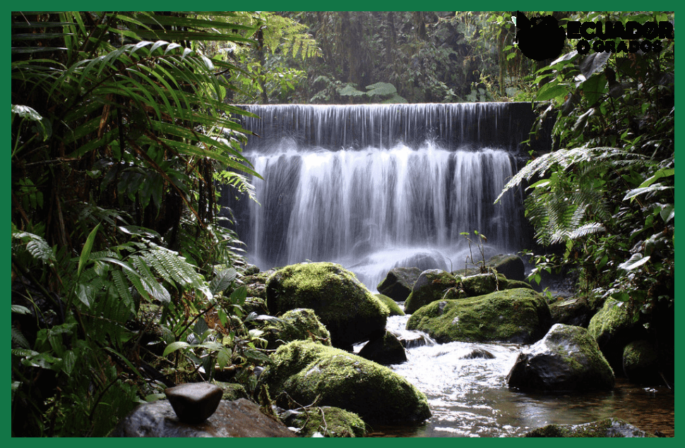 Cómo hacer turismo de naturaleza en Ecuador