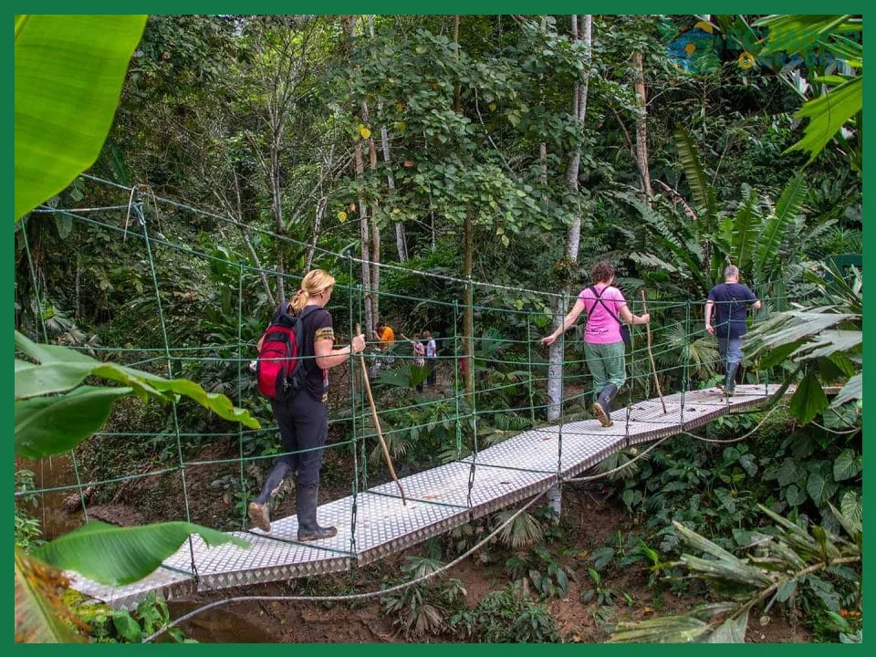 Cómo prepararse para un viaje a la Amazonía ecuatoriana