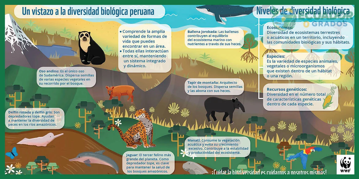 Cómo proteger a los animales endémicos del Ecuador