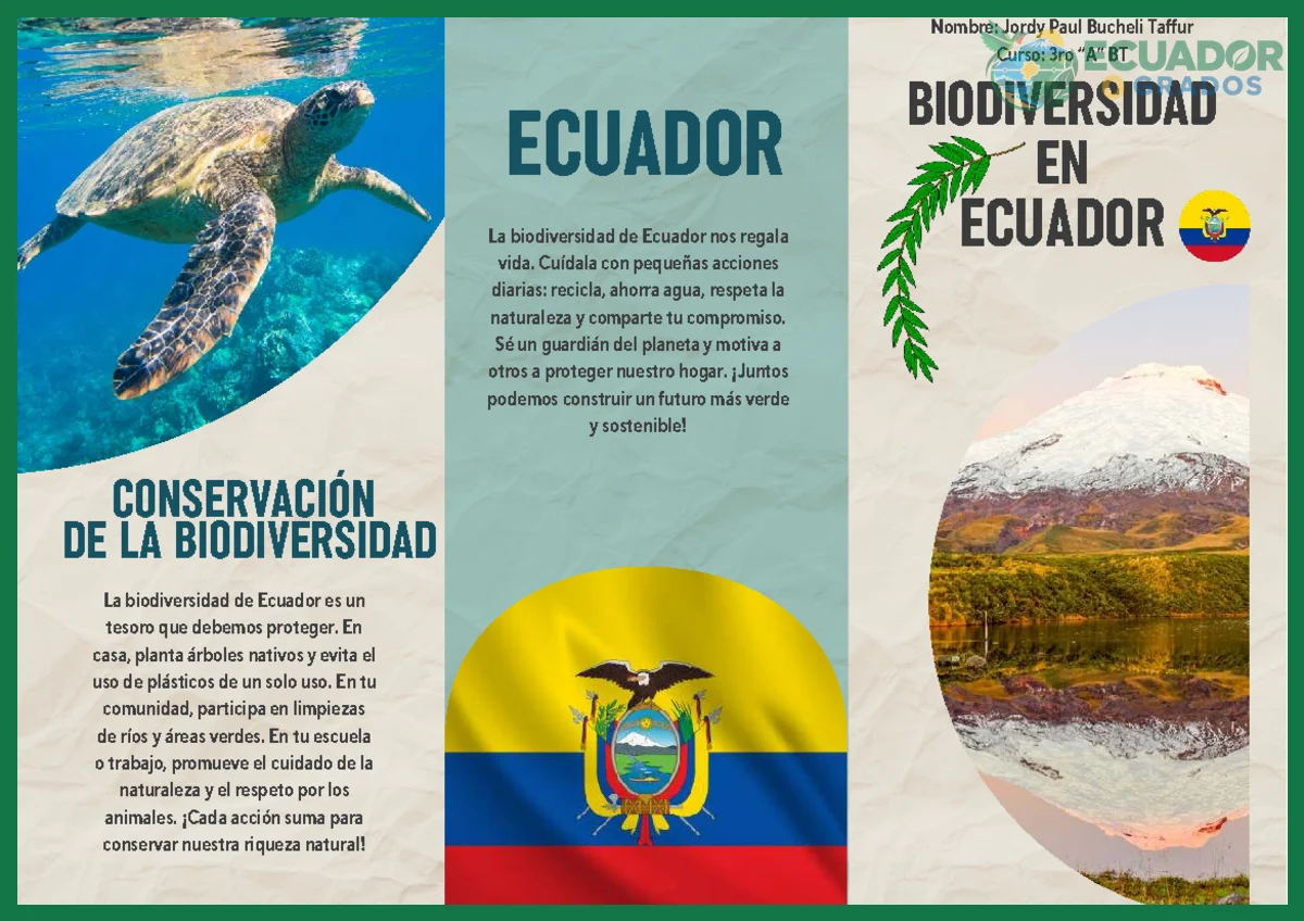 Cómo proteger la biodiversidad del Ecuador desde casa