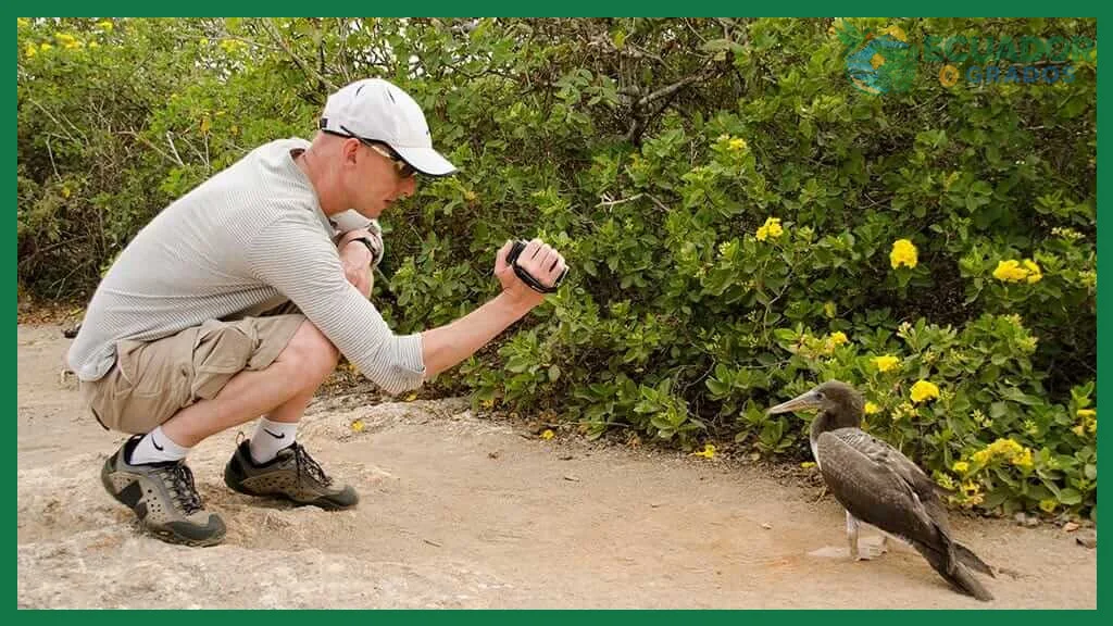 Cómo proteger la fauna de Galápagos
