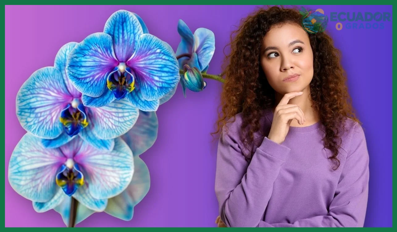 Cómo se clasifica una orquídea: género, especie y categorías taxonómicas