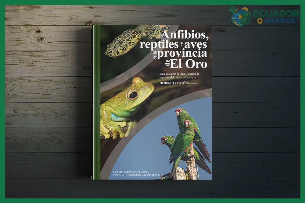 Cómo usar la guía de identificación de anfibios y reptiles en las estribaciones