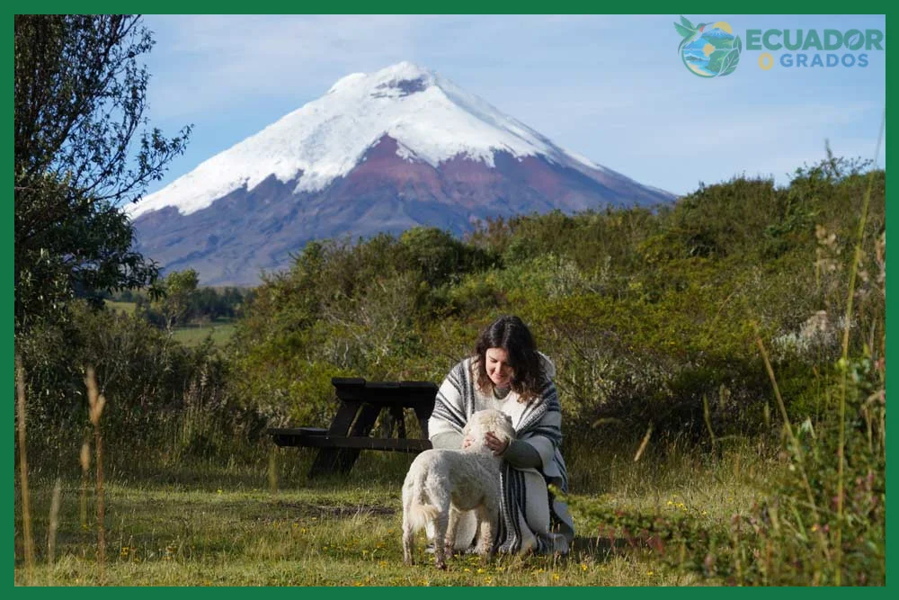 Cómo visitar el volcán Cotopaxi de forma segura