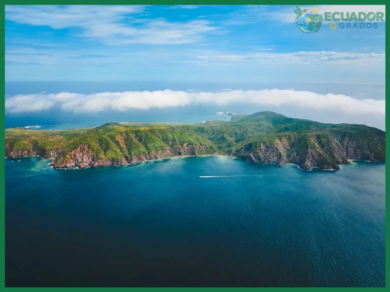 Cómo visitar la Isla de la Plata
