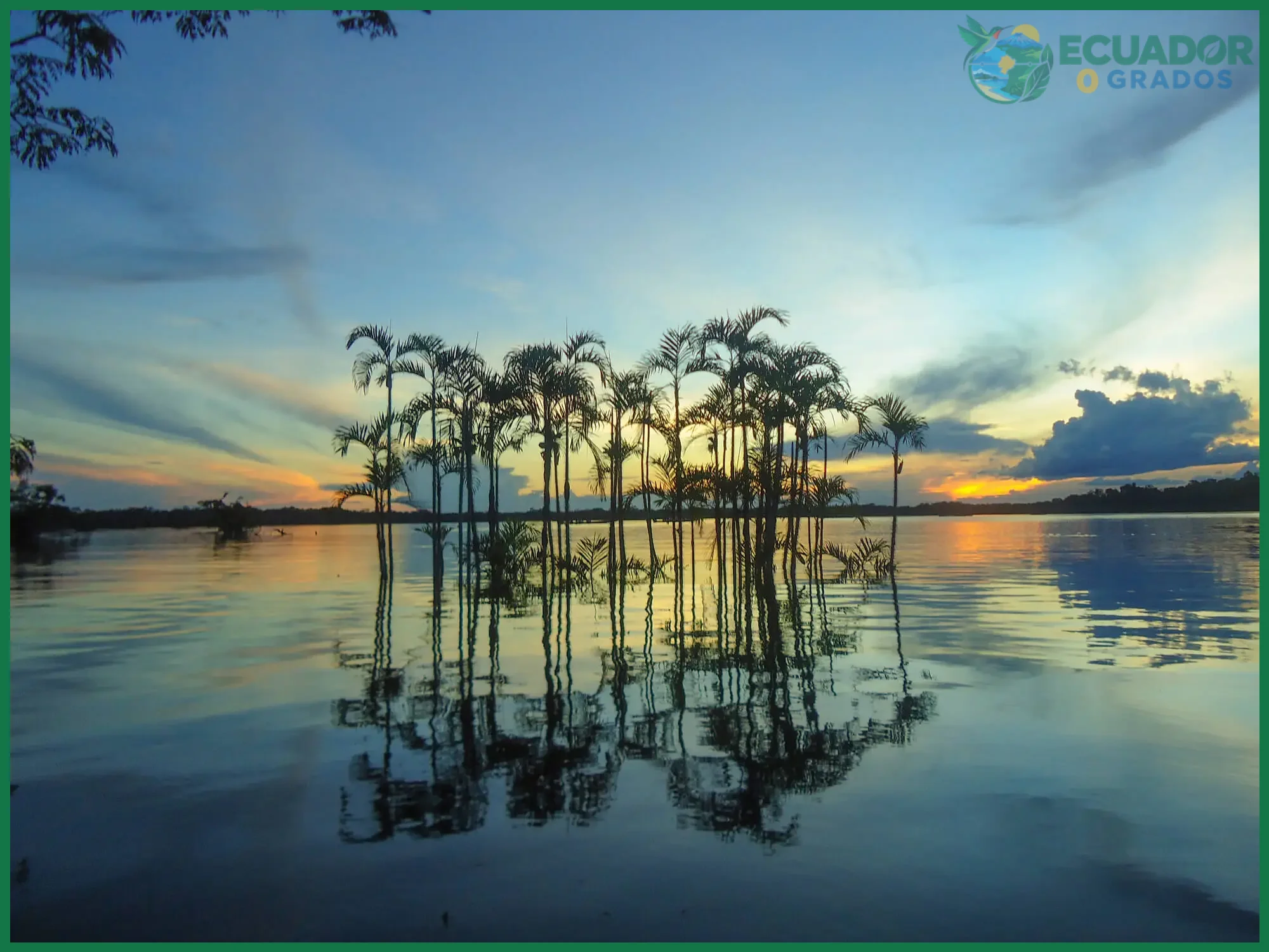 Cómo visitar la reserva Cuyabeno en Ecuador