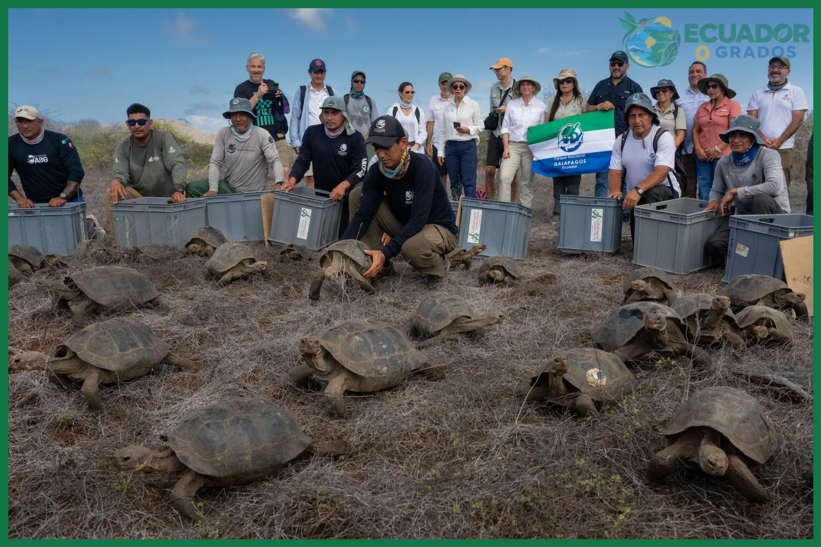 Cómo viven las tortugas gigantes de Galápagos