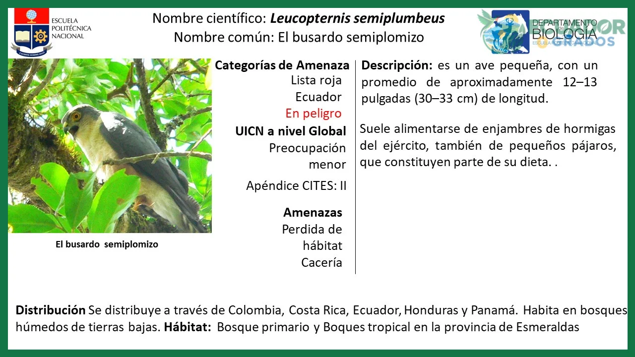 Conocimiento de las amenazas locales que enfrentan las aves endémicas
