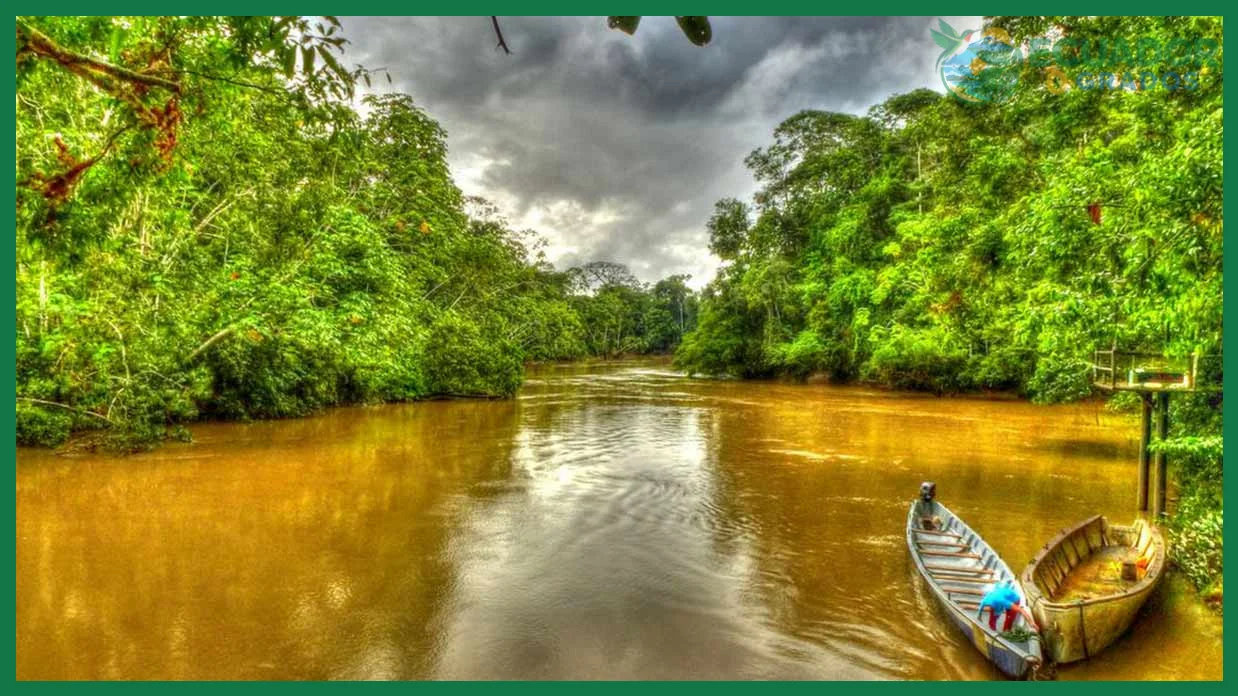 Conocimiento de las comunidades waorani y kichwa del Yasuní