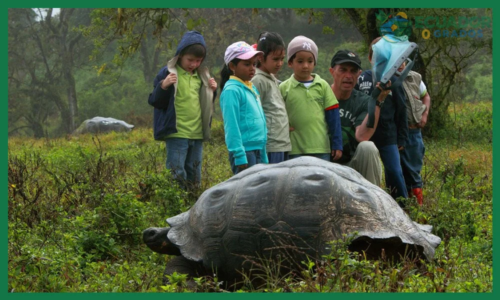 ¿Conservación de las Islas Galápagos y viajes responsables?