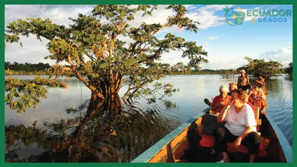 ¿Cuál es la mejor manera de explorar el Parque Nacional?