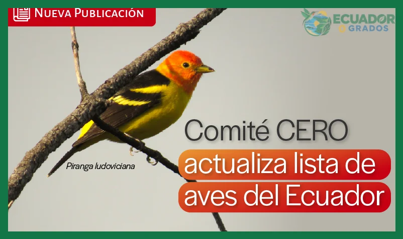 Cuáles son las aves más coloridas del Ecuador