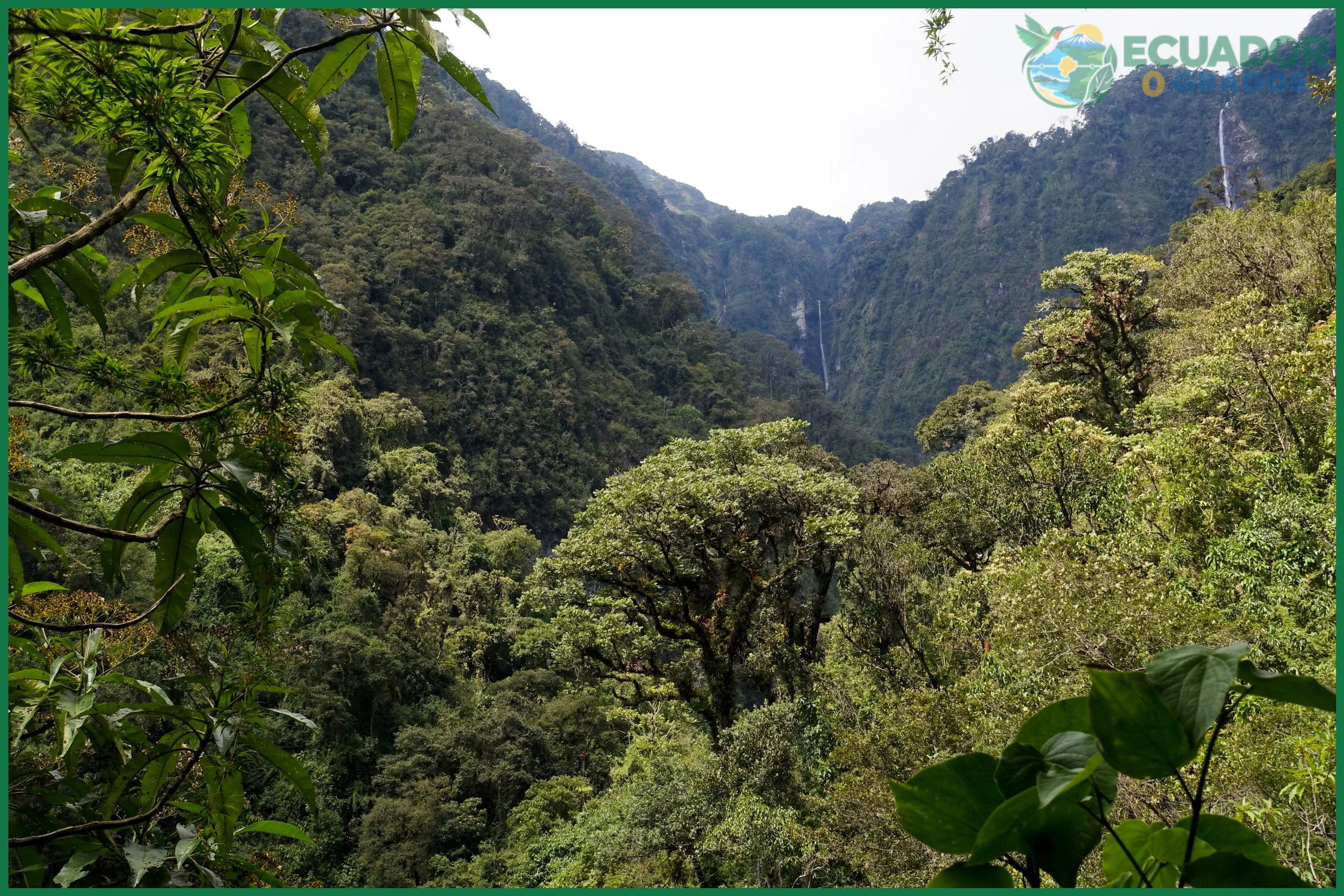Cuántas áreas protegidas tiene Ecuador