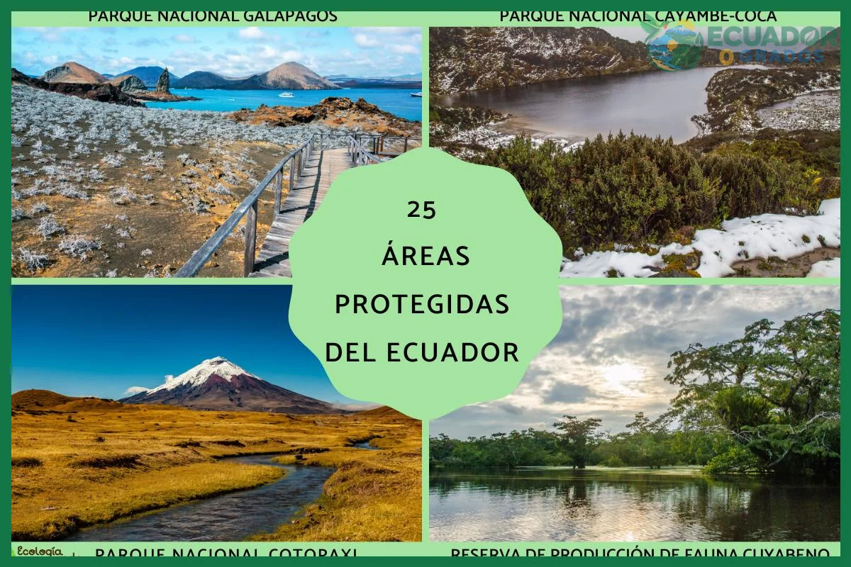 Cuántas áreas protegidas tiene Ecuador