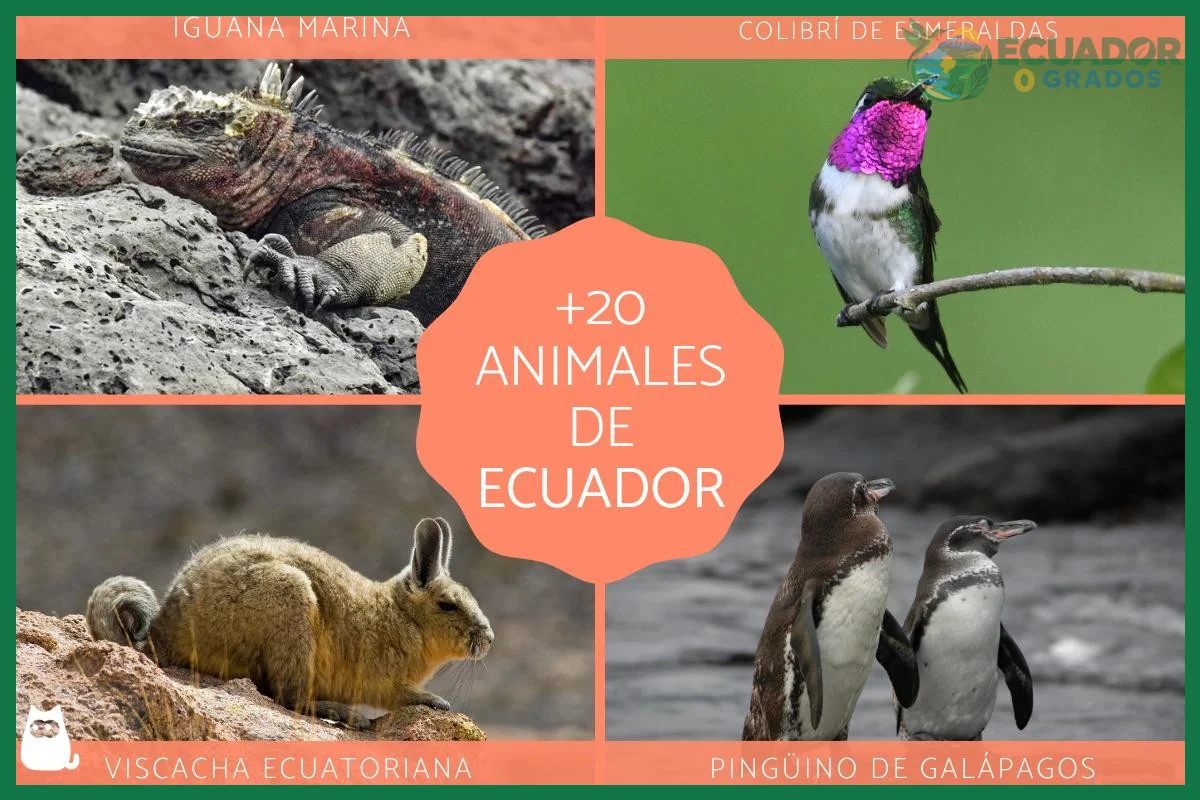 Cuántas especies endémicas tiene el Ecuador