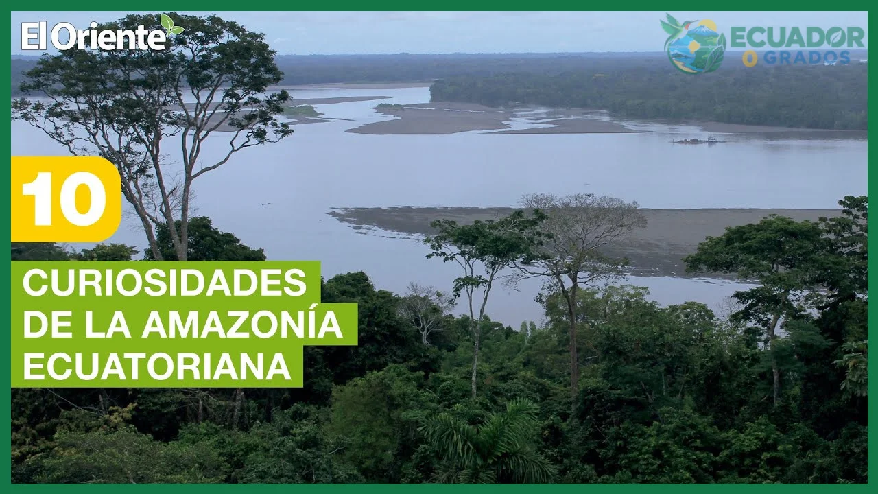 Datos curiosos de la Amazonía ecuatoriana