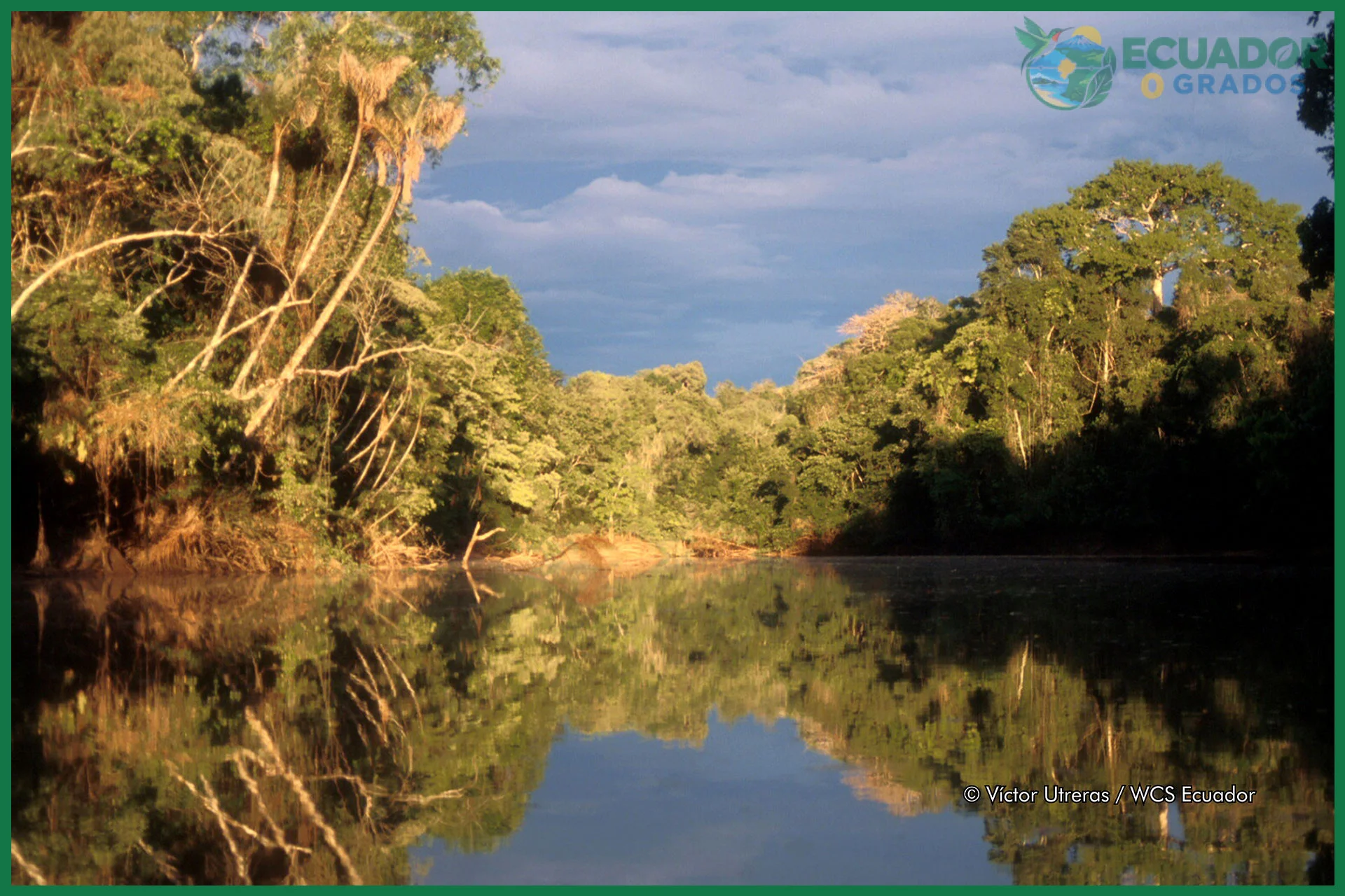 Declaratoria como Reserva de la Biosfera por la UNESCO en 1989
