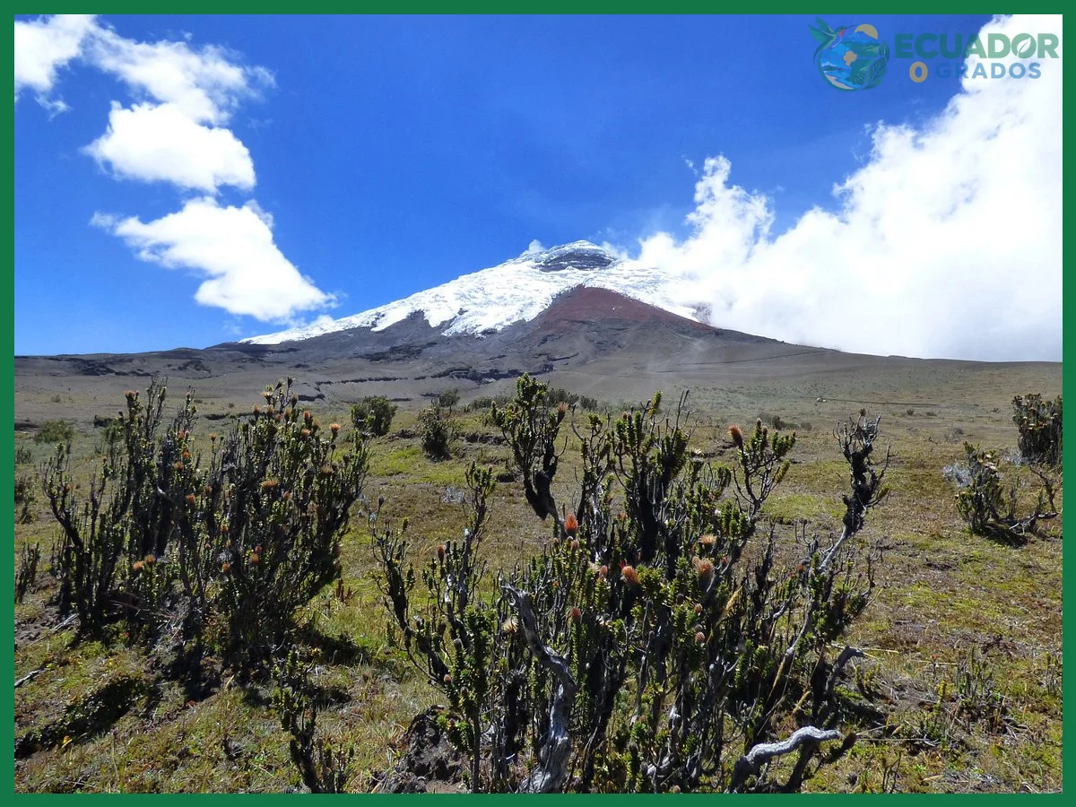 Documentación de ingreso y registro en el Parque Nacional Cotopaxi