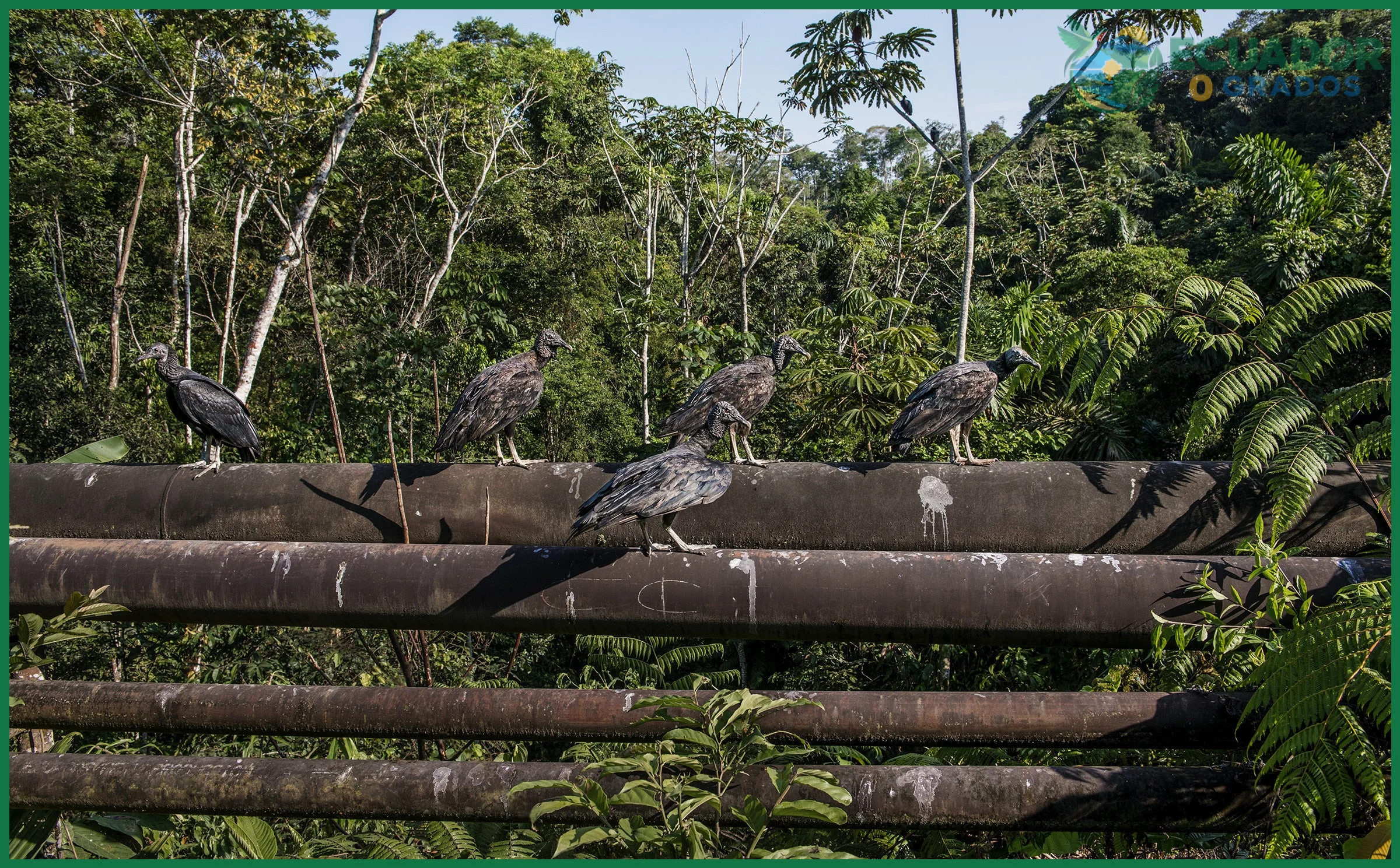 Documentación y permisos de ingreso al Parque Nacional Yasuní