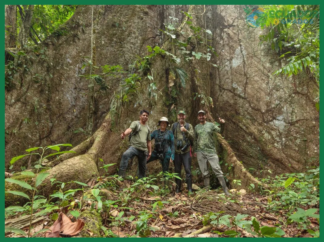 Época del año recomendada para visitar la Reserva Limoncocha