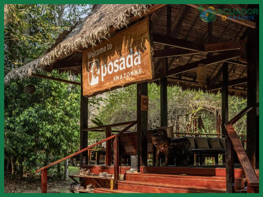 Equipaje permitido en vuelos hacia la selva: 20 kilos y 1 equipaje de mano