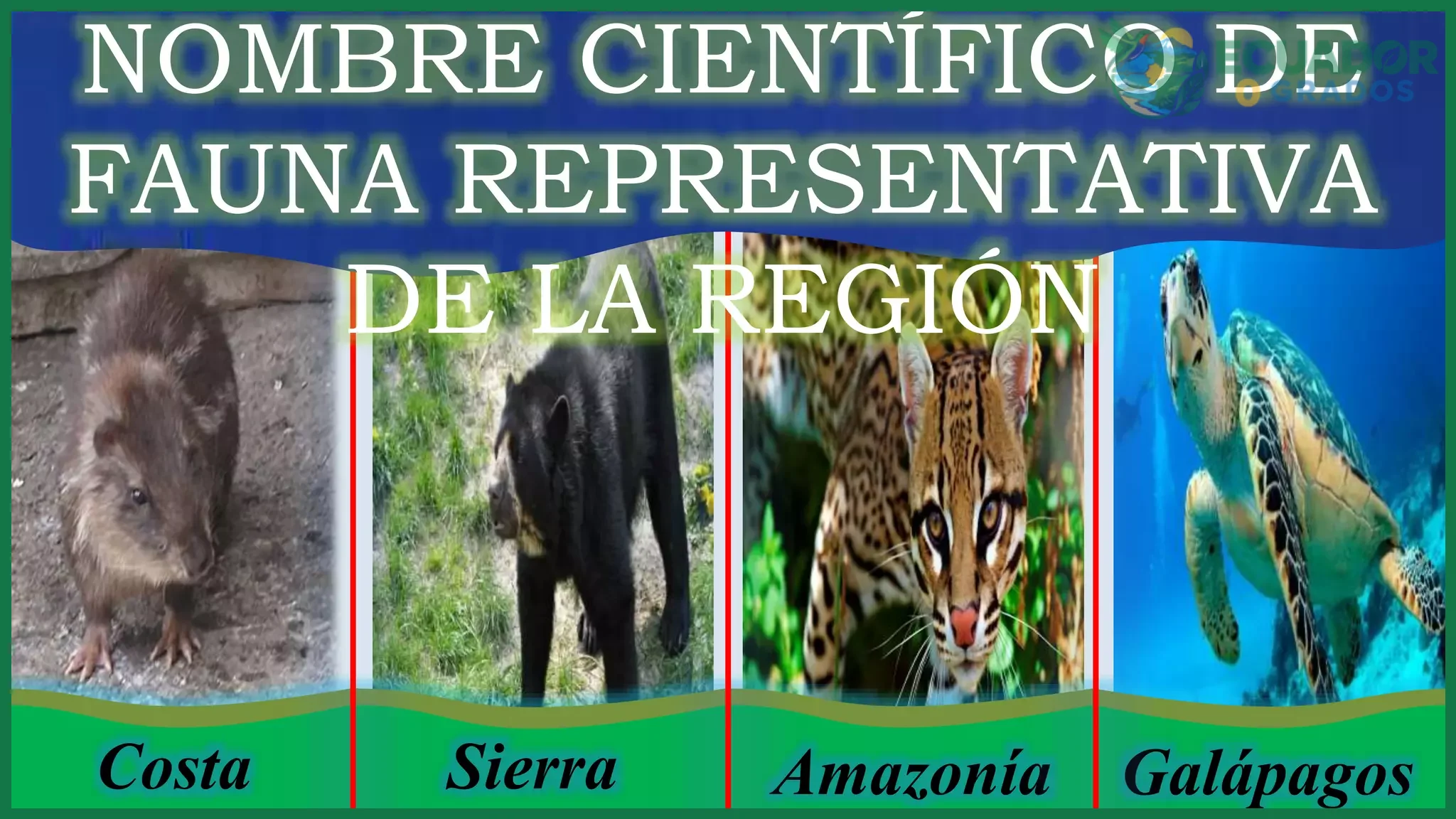 Especies endémicas de la Sierra