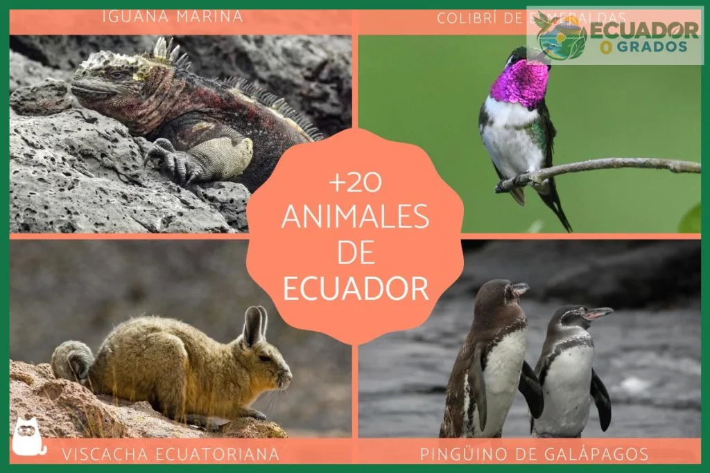 ¿Especies endémicas ecuador?