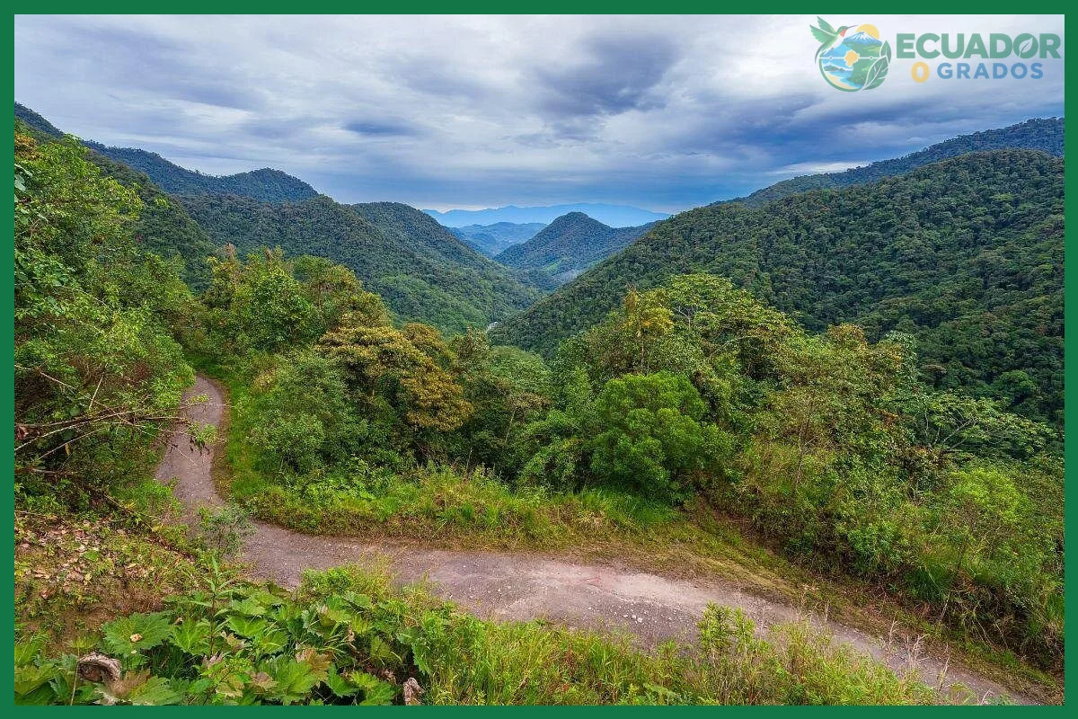 Excursiones de un día o escapadas de fin de semana