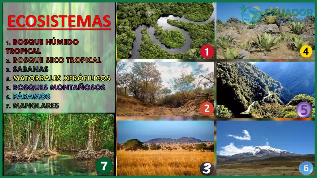¿🌿Ecuador, un país megadiverso. 🌎 Con sus cuatro?