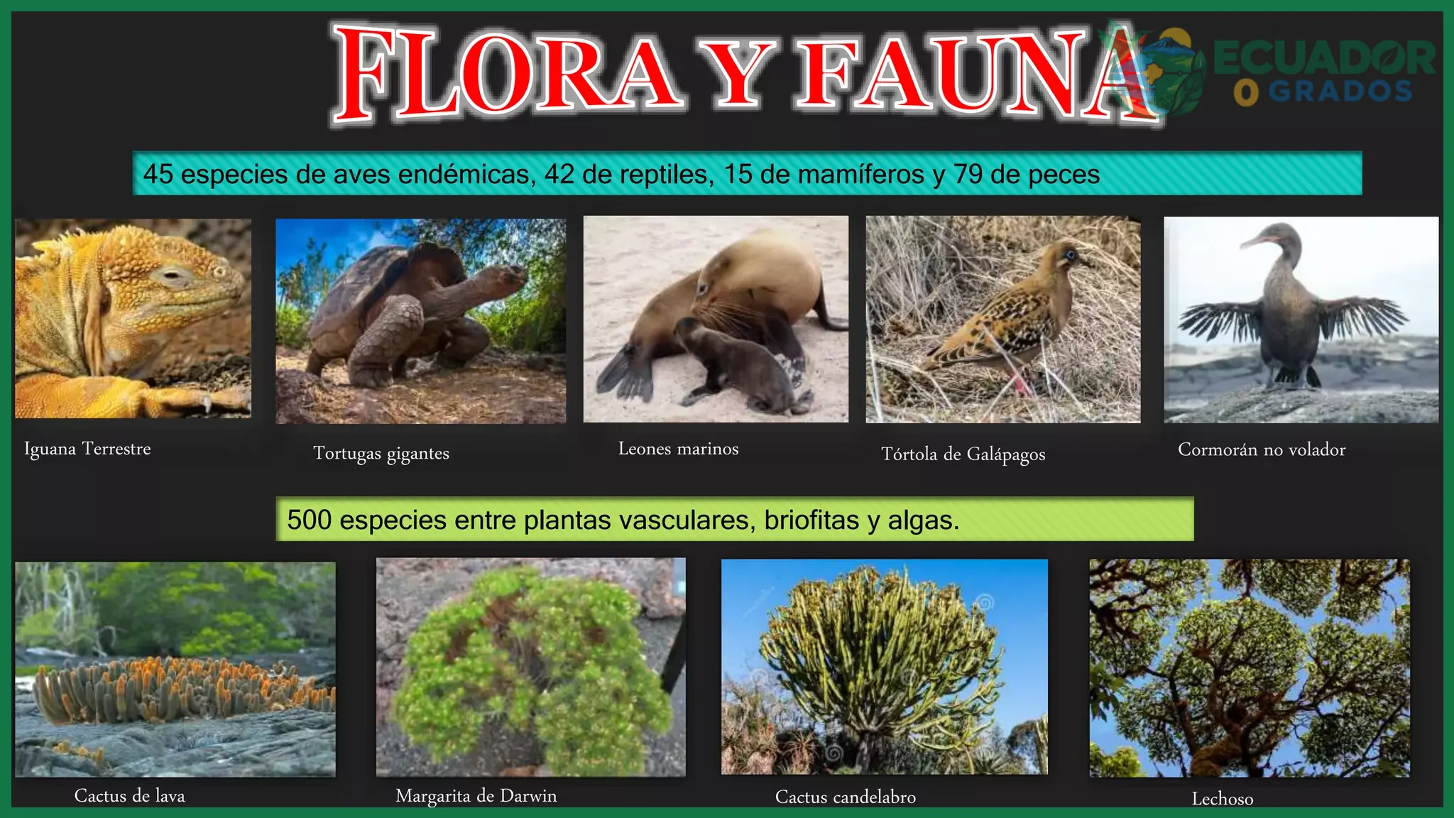 Guía de especies endémicas de Galápagos