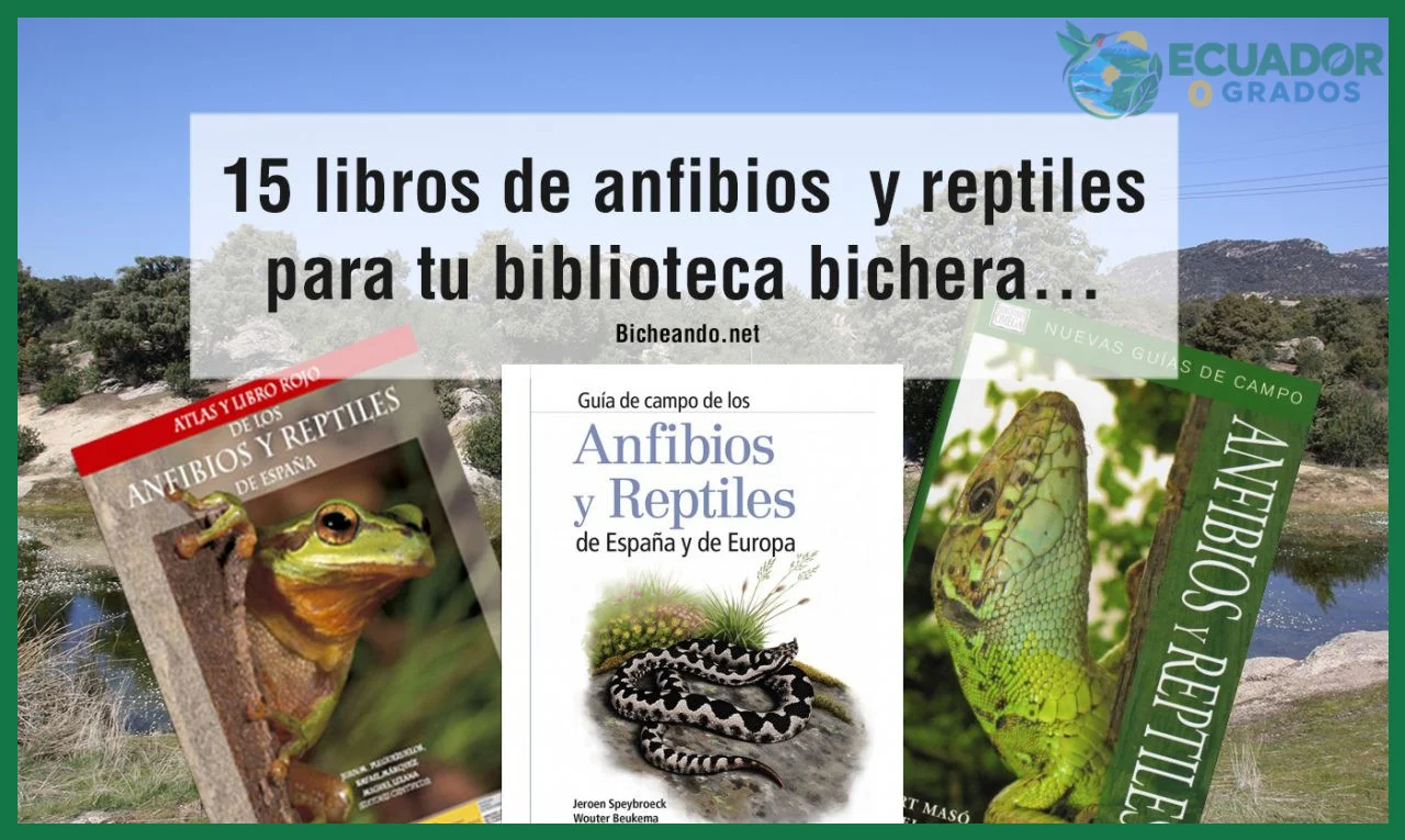 Guía de identificación rápida de anfibios y reptiles del Ecuador
