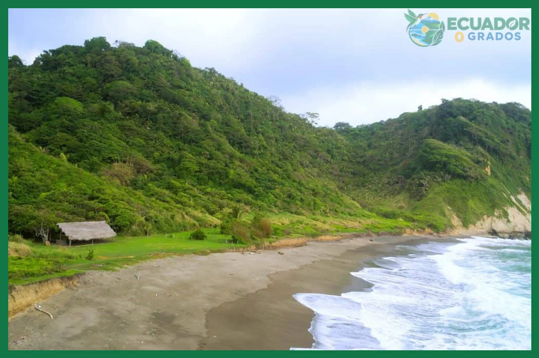 Guía de las playas vírgenes del Ecuador