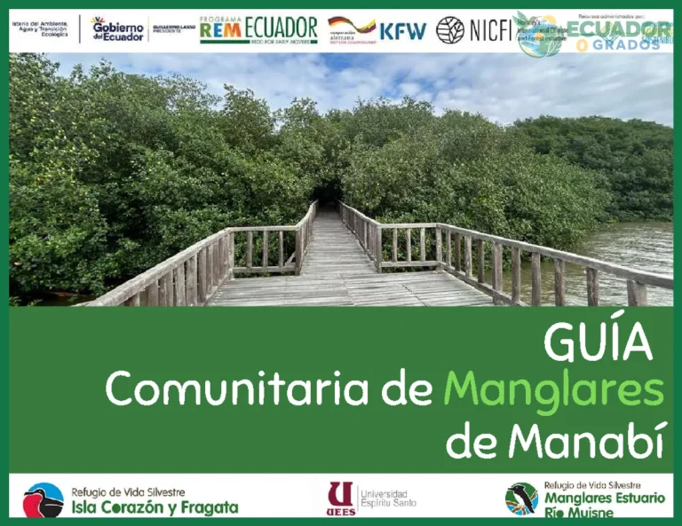 Guía de los manglares de Ecuador