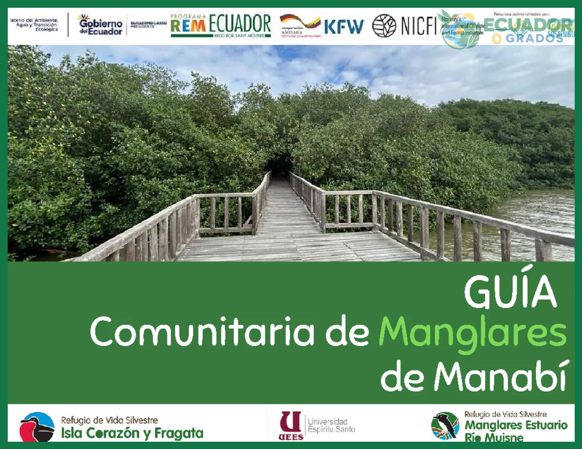 Guía de los manglares de Ecuador